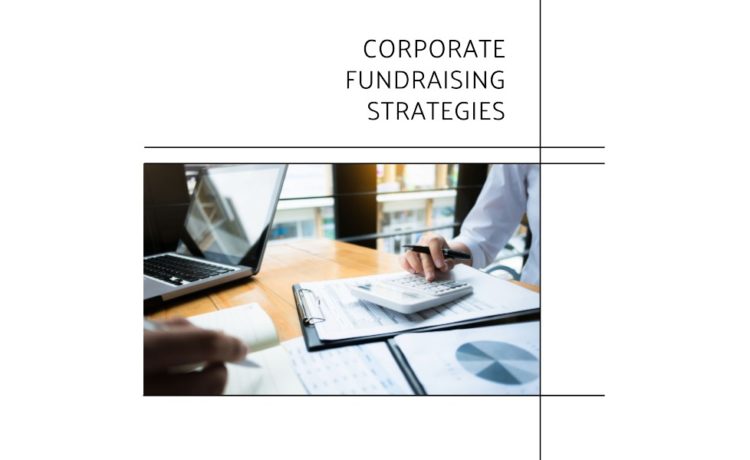 how do corporations raise money and resources to expand select three answers.