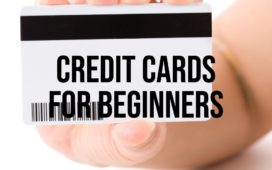 credit cards for beginners with no credit