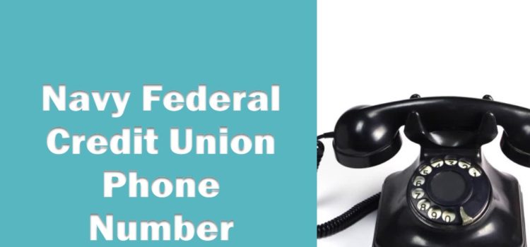 navy federal credit union phone number