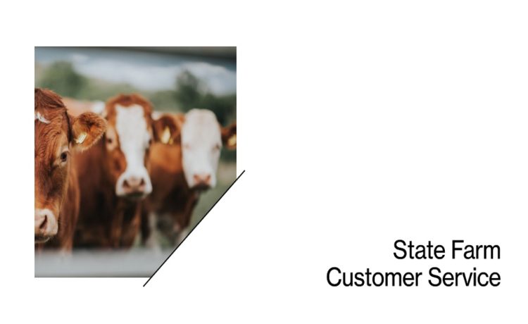 state farm customer service