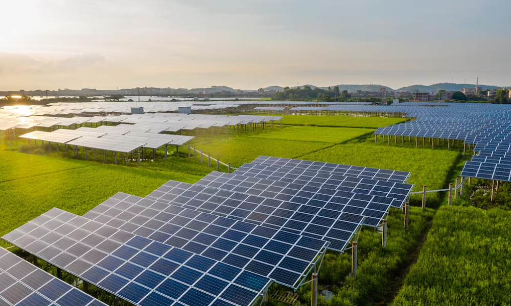 The Ultimate Guide to Solar System Loans for Commercial and Industrial Projects